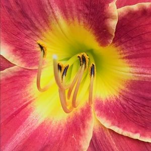 Meet your Posher, Jennifer